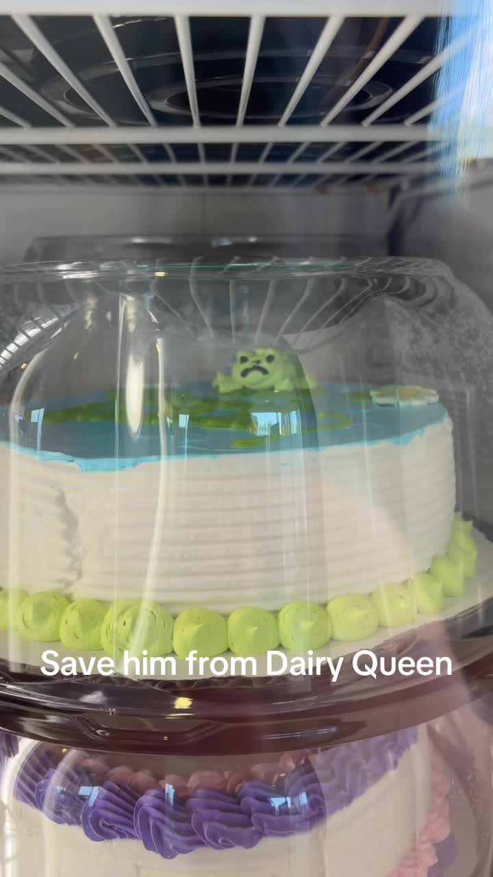 @Hailun
