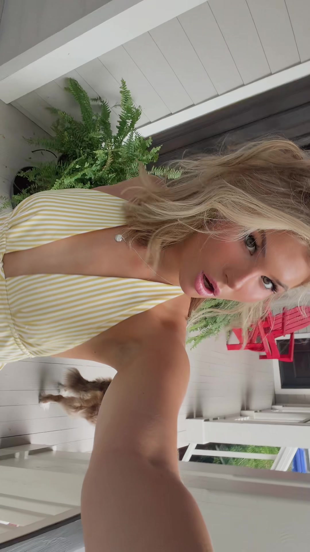 @dyanneeryn
