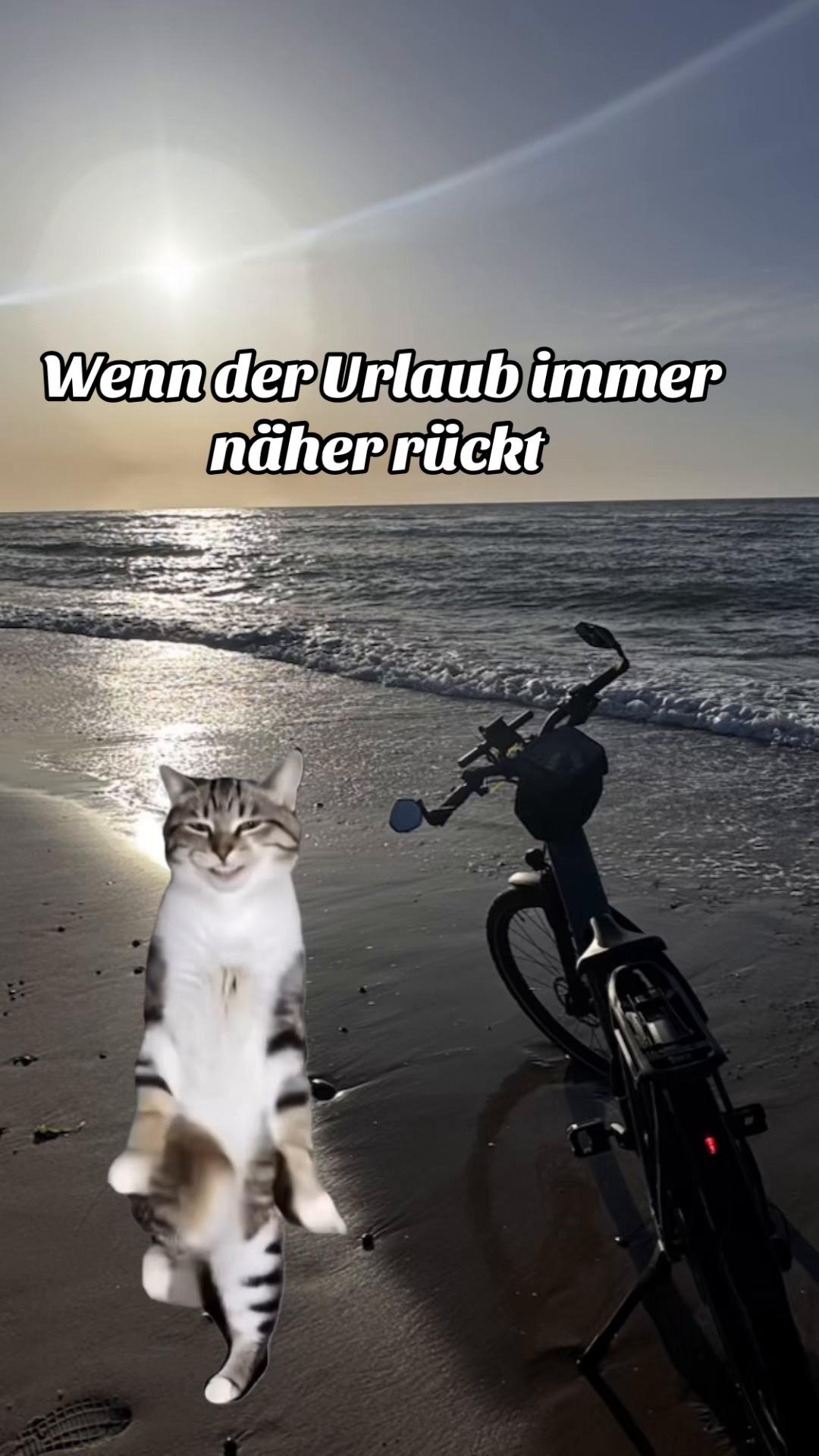 @tanja.is.da