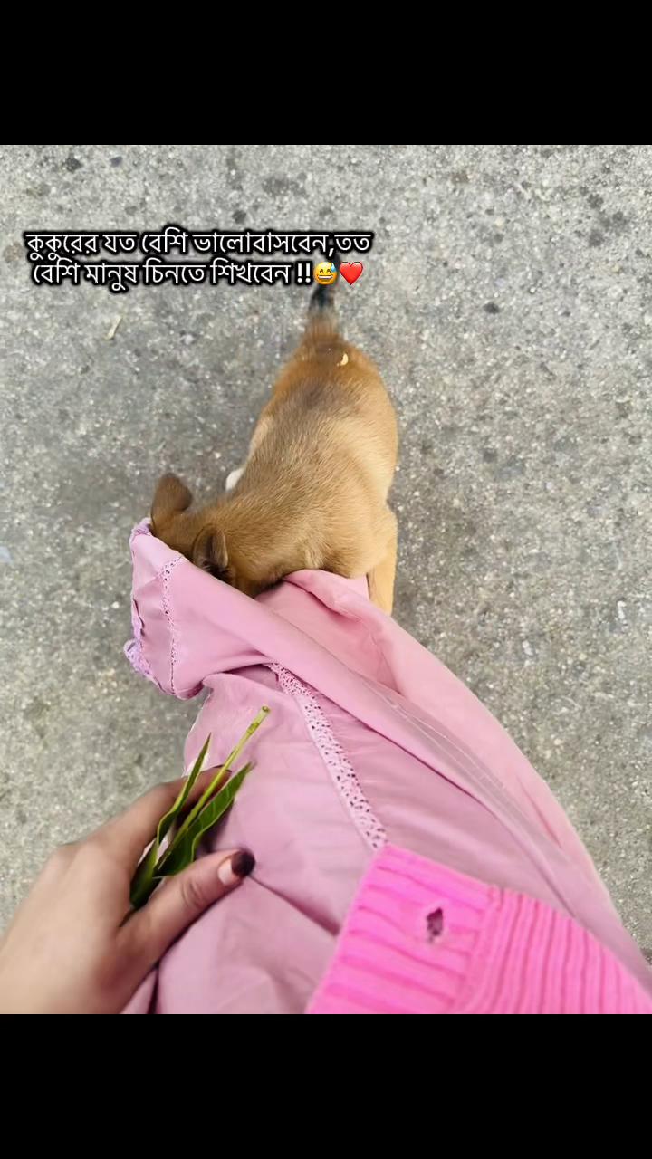 @Jakiya Sultana 🦋