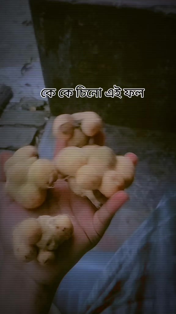 @🎀Raisar ammu🎀