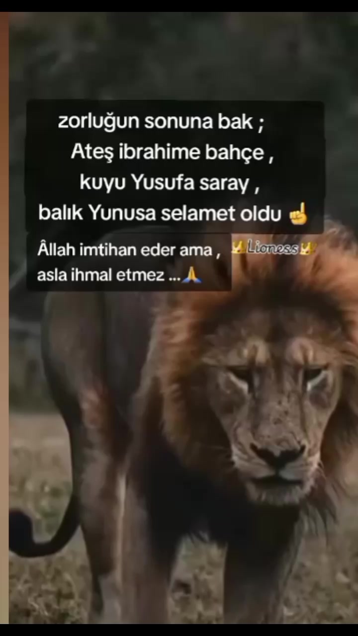 @Abdullah sari