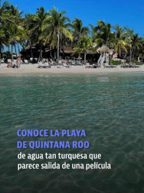 @elheraldodemexico