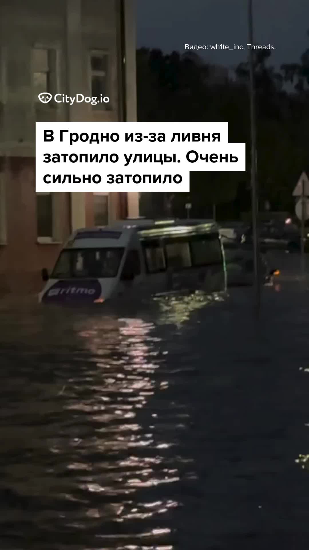 @CityDogby журнал о Минске