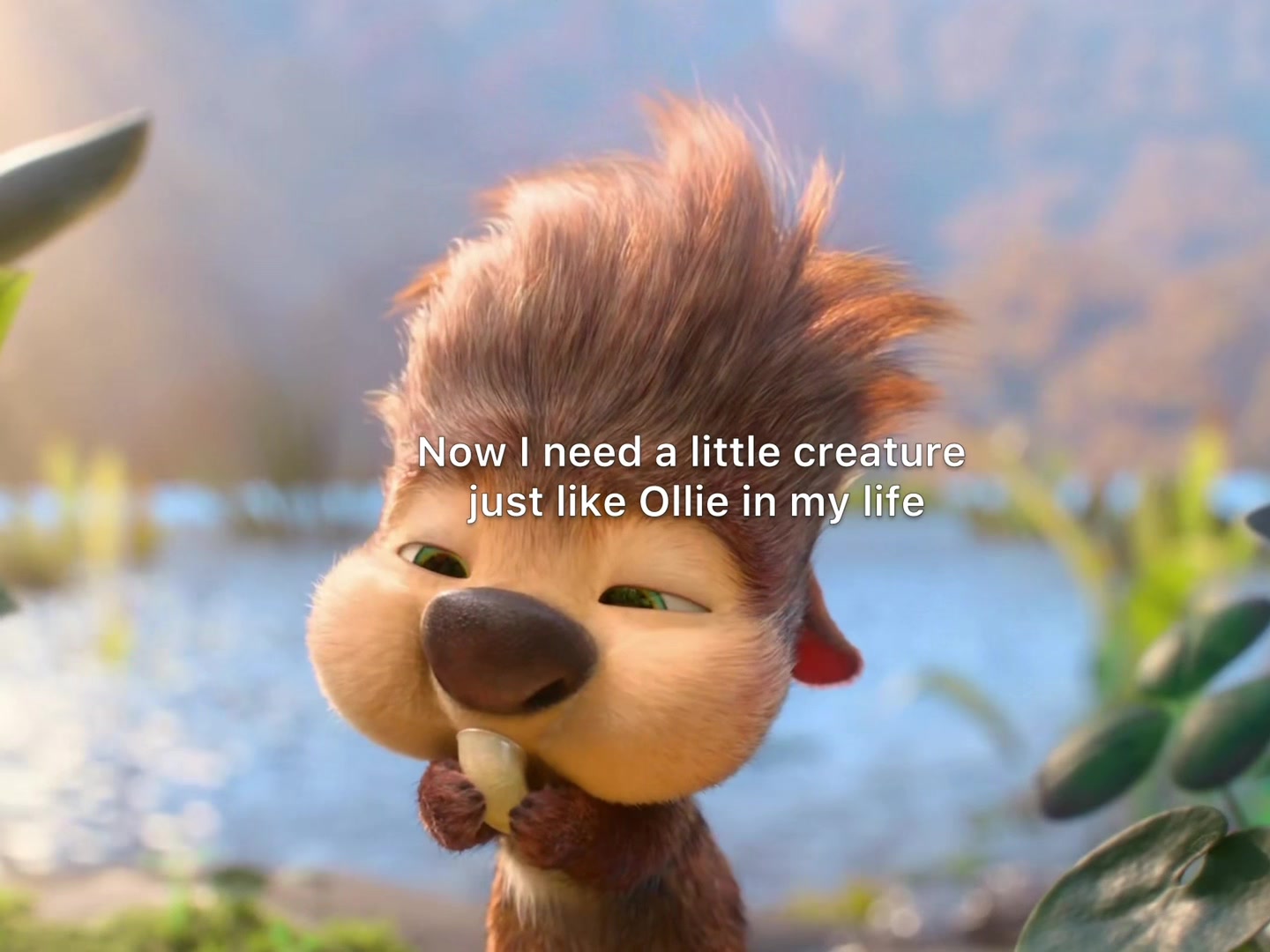 @kenedy