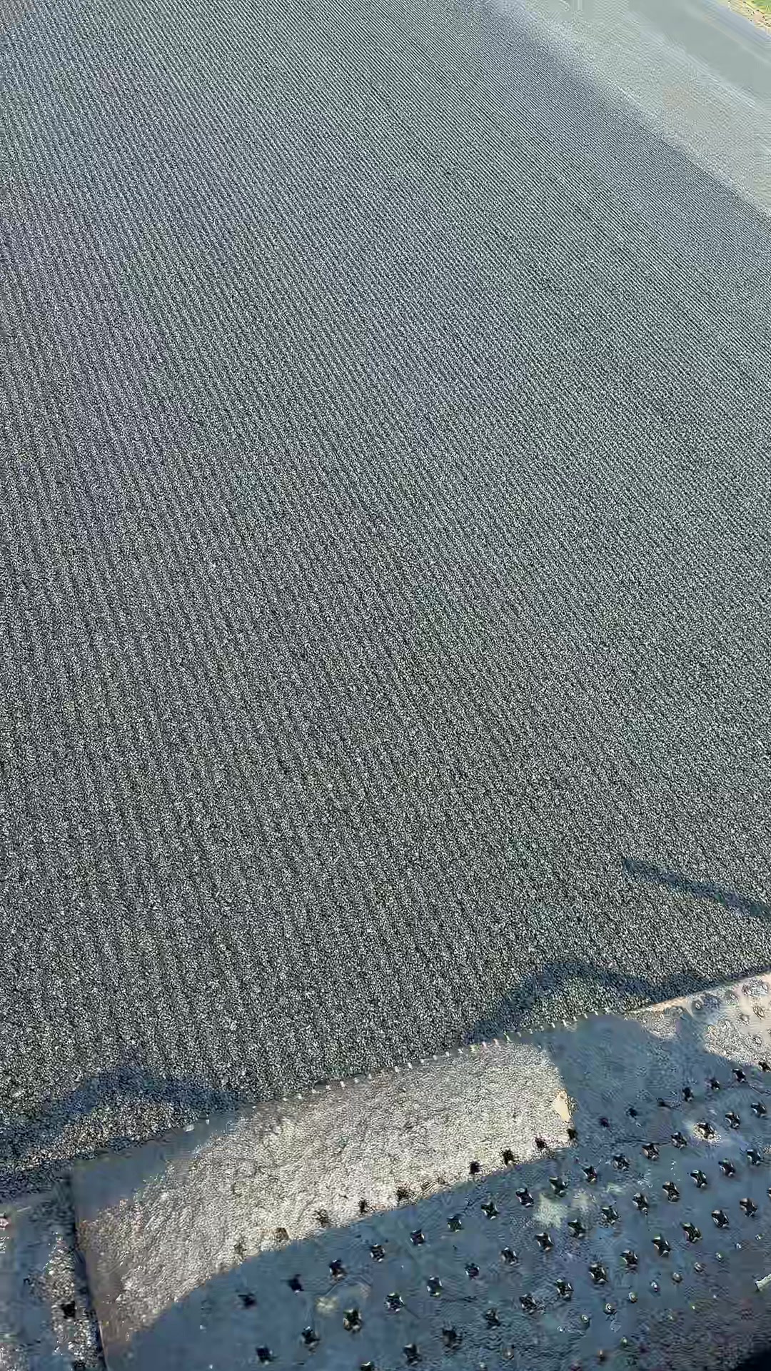 @CALIBOI559