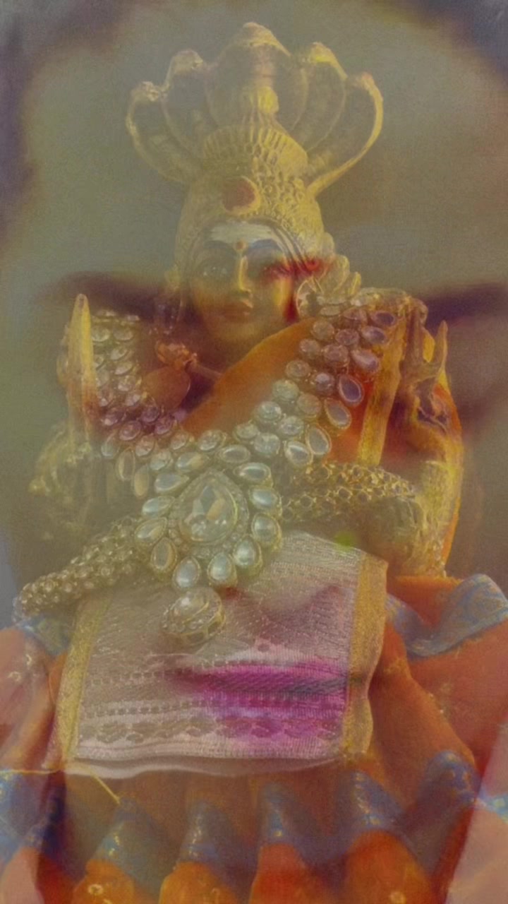 @Varsha Sree