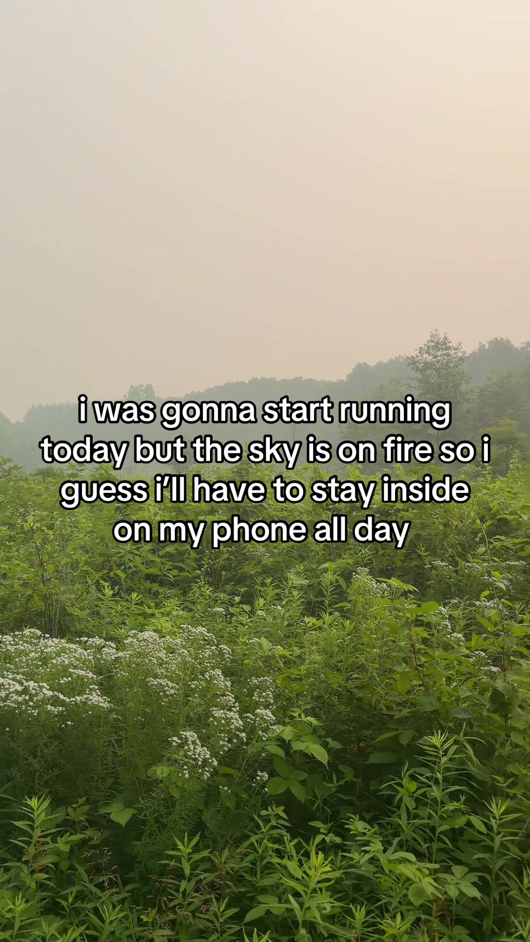 @D E V I N T A Y L O R
