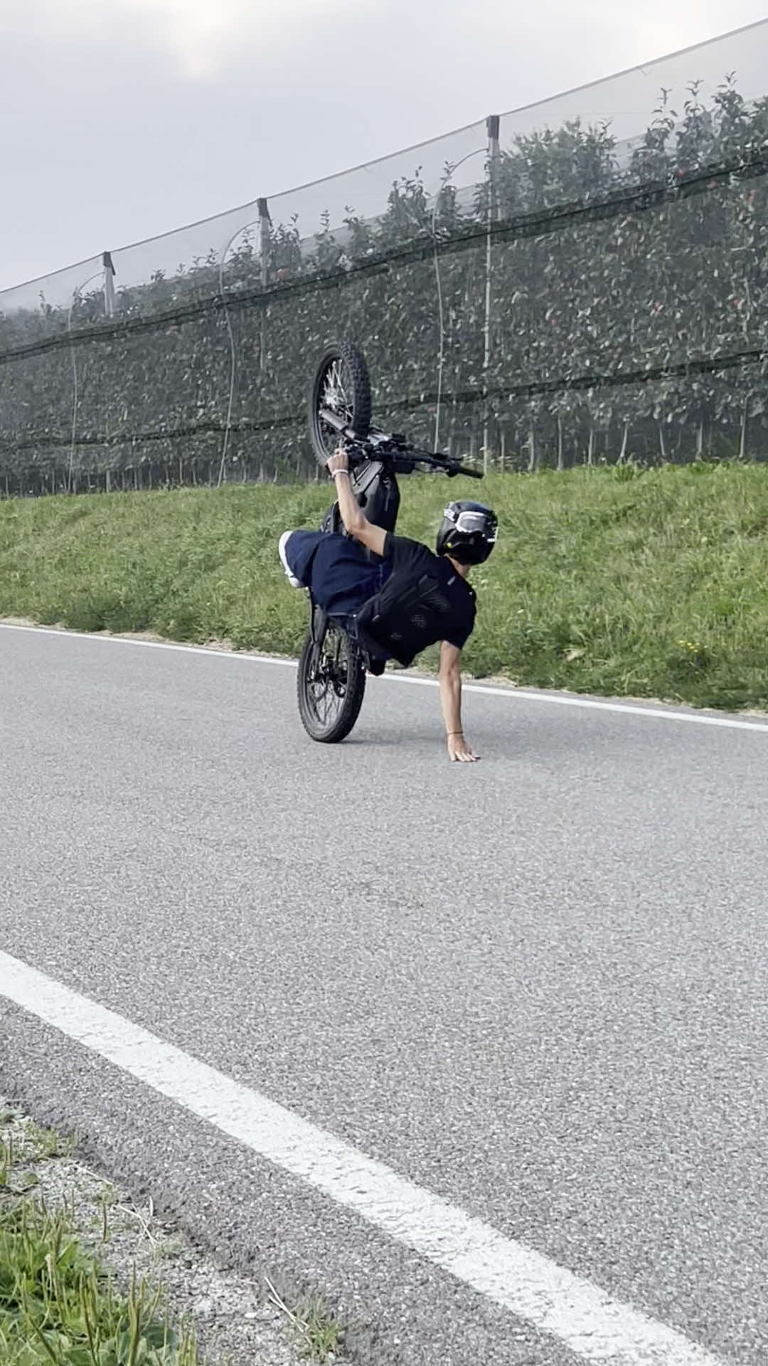 @MX4 Trex