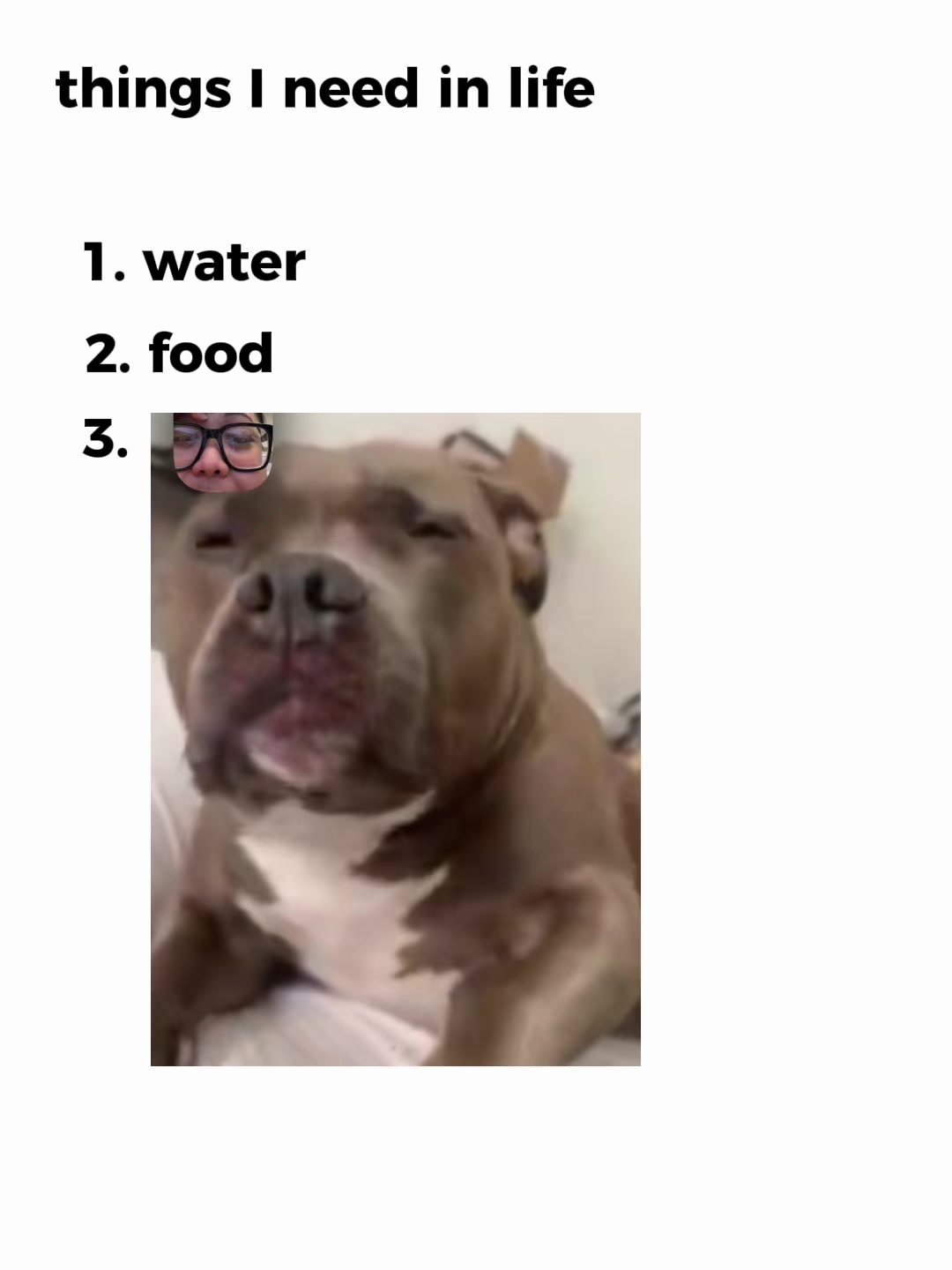 @IG: @lou.the.bully