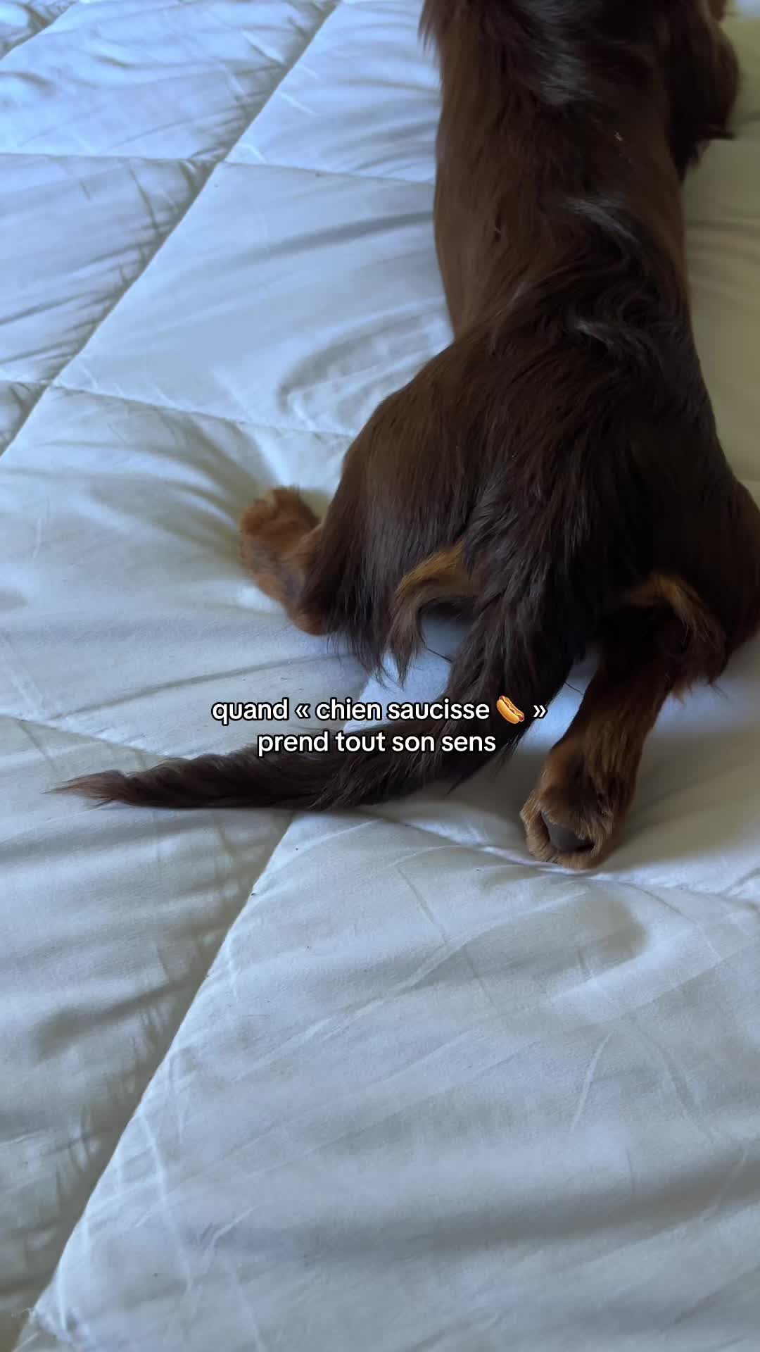 @nala
