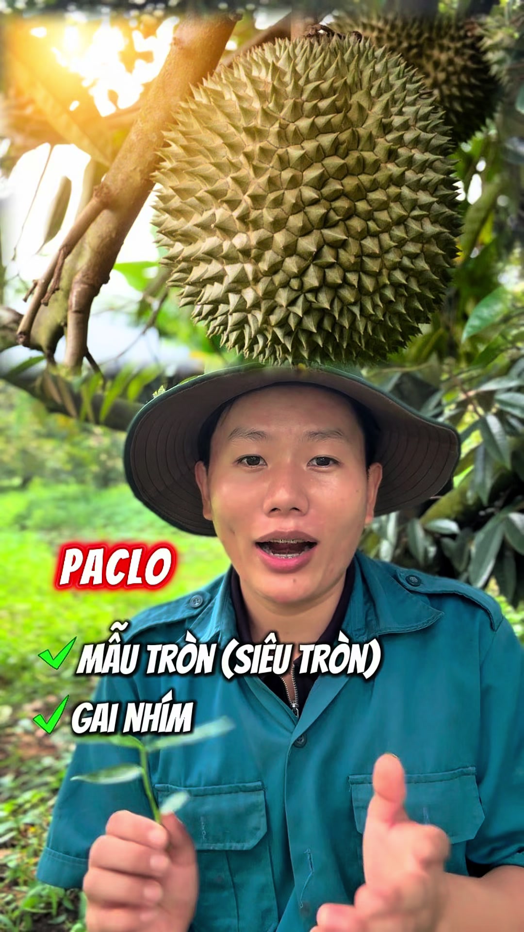 @Hộ Kinh Doanh Hào - Hưng