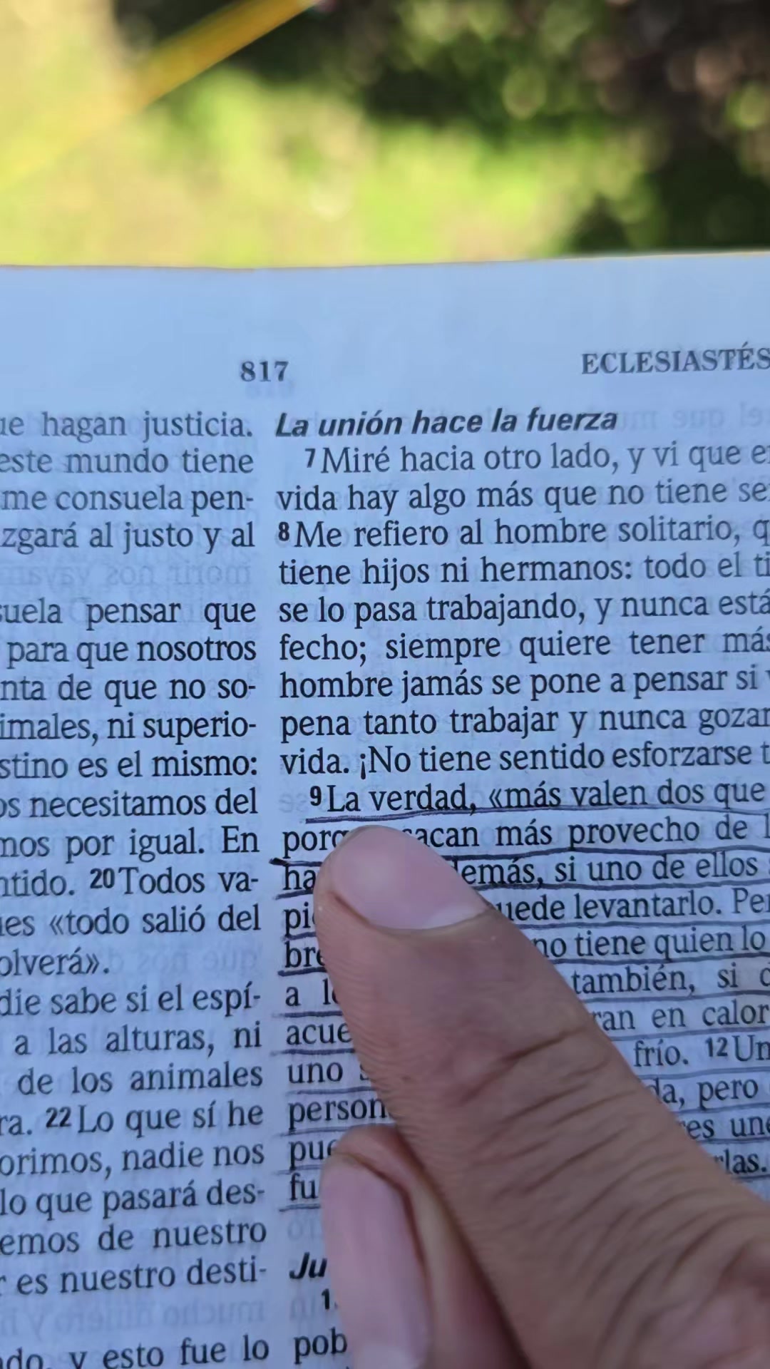 @Palabra de Dios