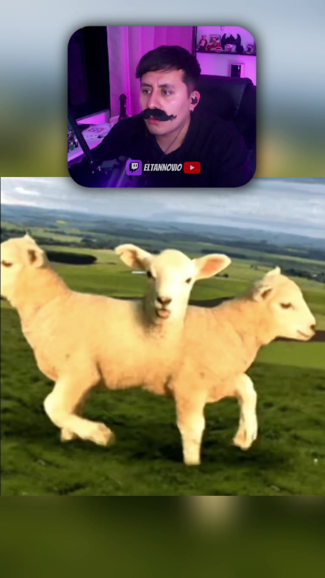 @eltannovio