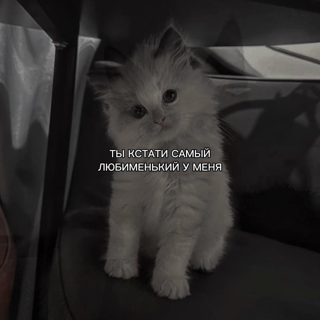 @ХХИКА