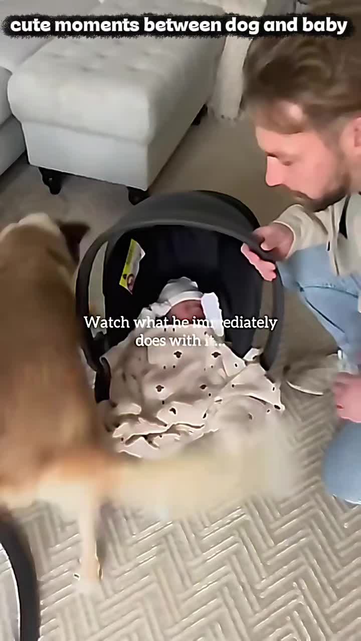 @dogmomentsdaily