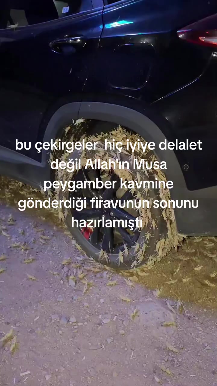 @atam _adam