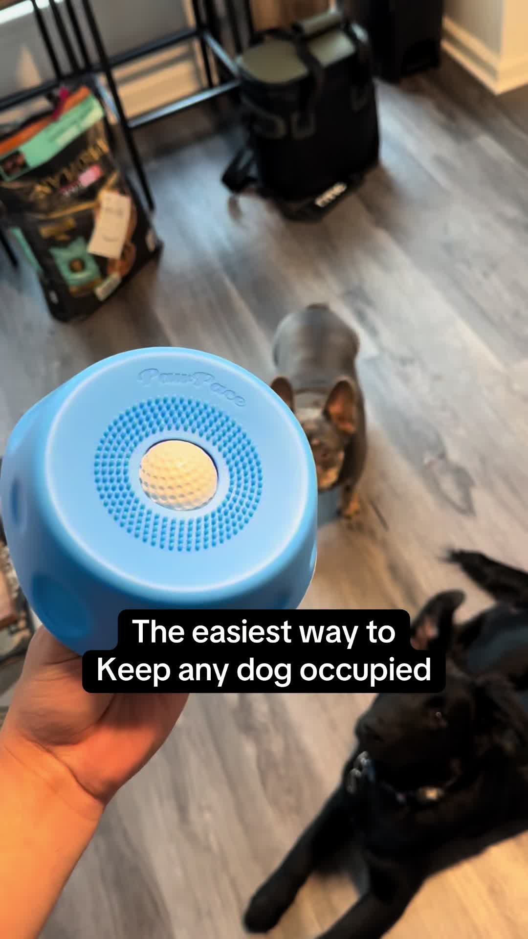 @LivinWithLevi
