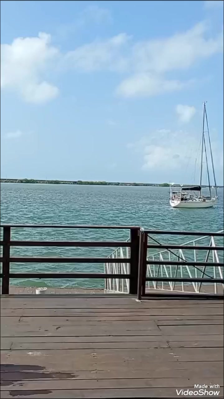 @bora de carona _pe