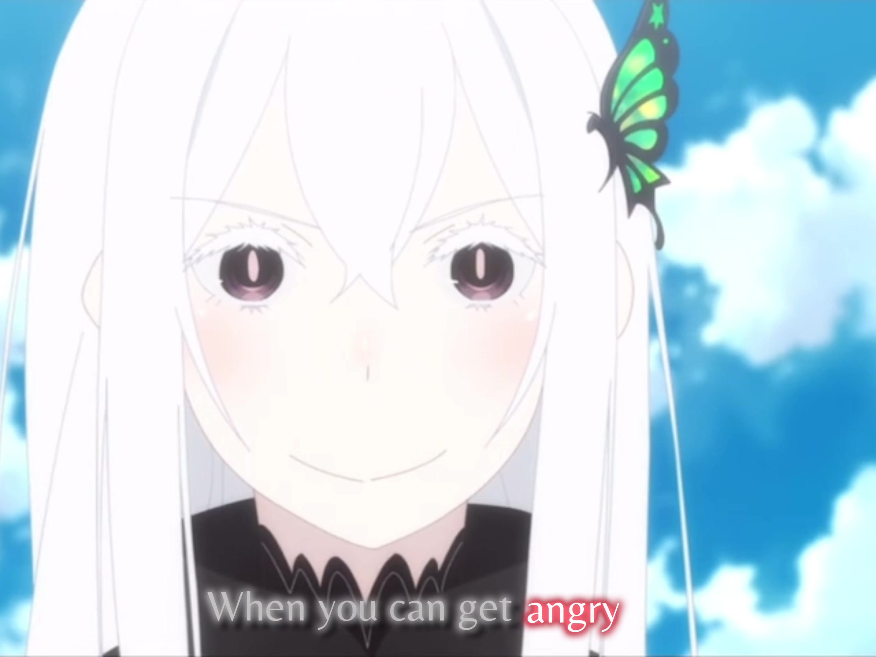 @Milkies/Echidna