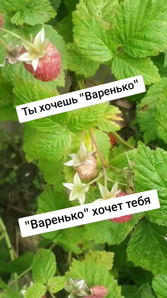 @Ирина