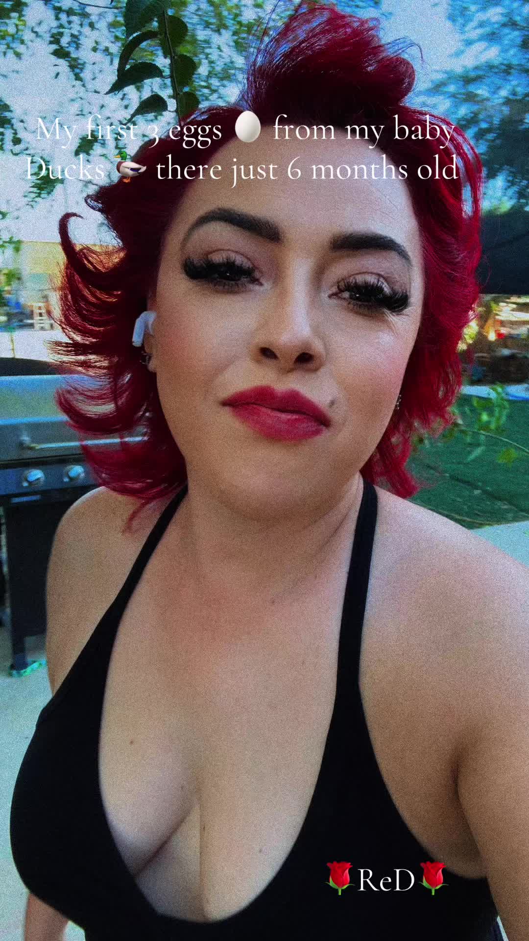 @🌹 ReD 🌹
