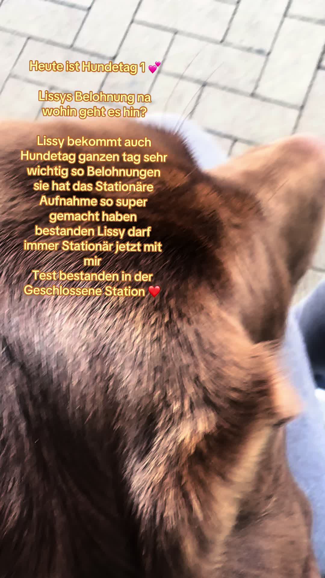 @teamlidialissy