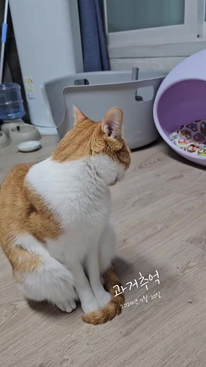 @오로라공주