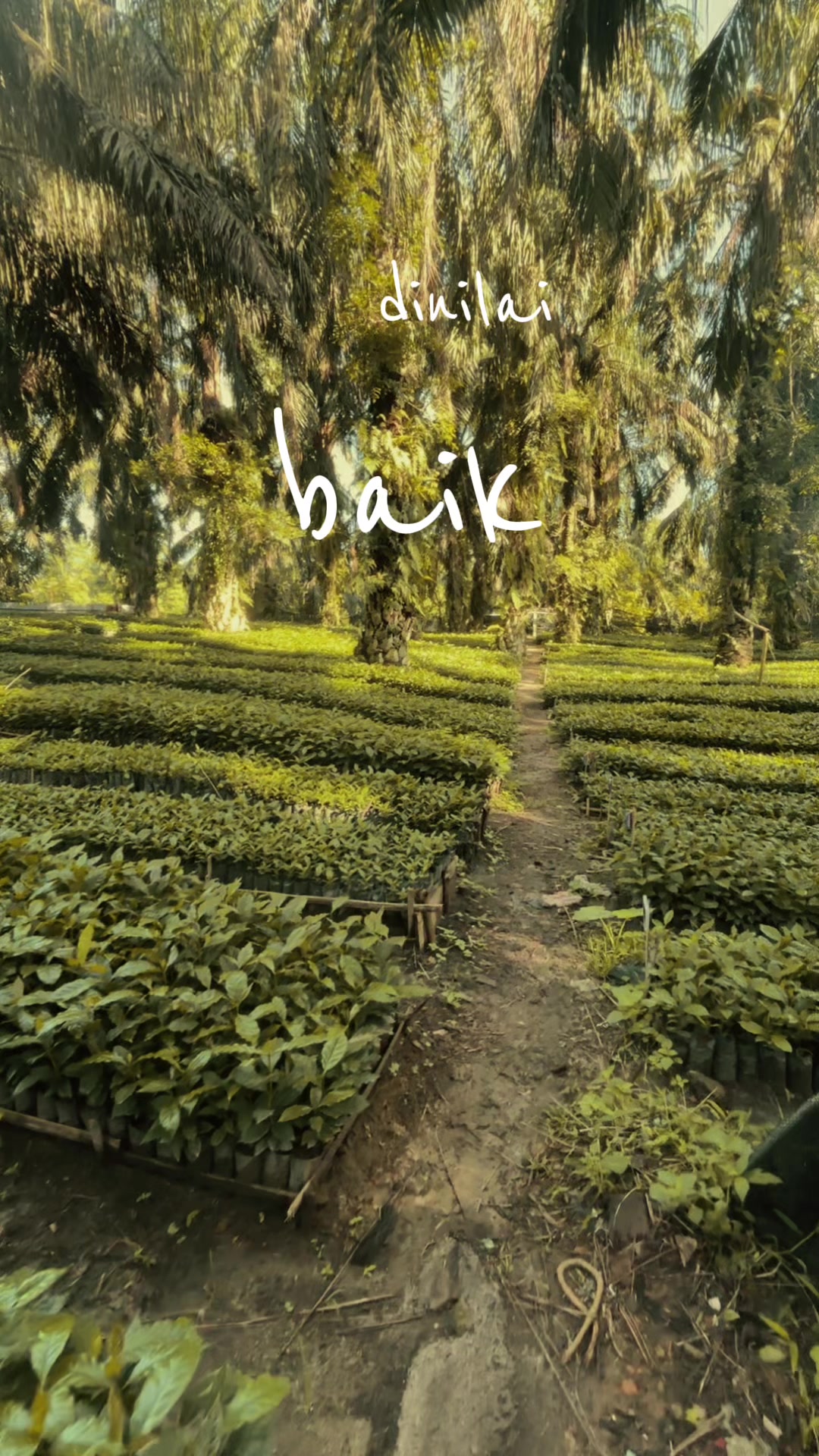 @ikhsansann