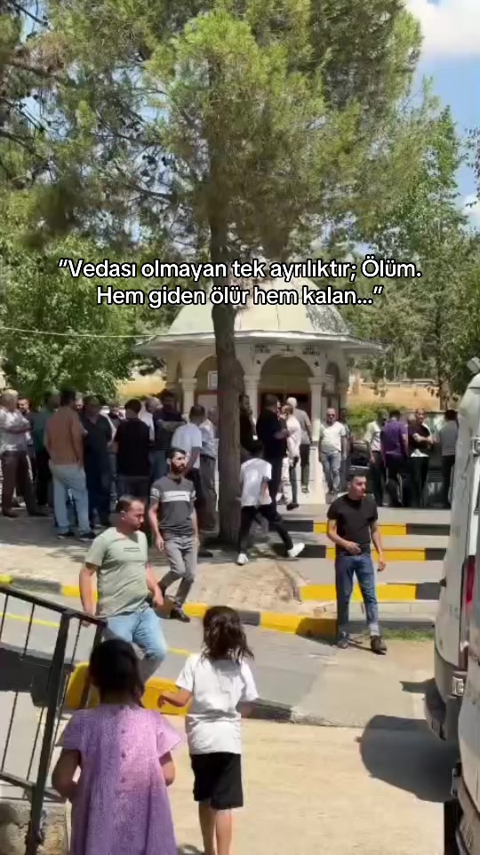 @ŞÜKRÜ YILDIRIM