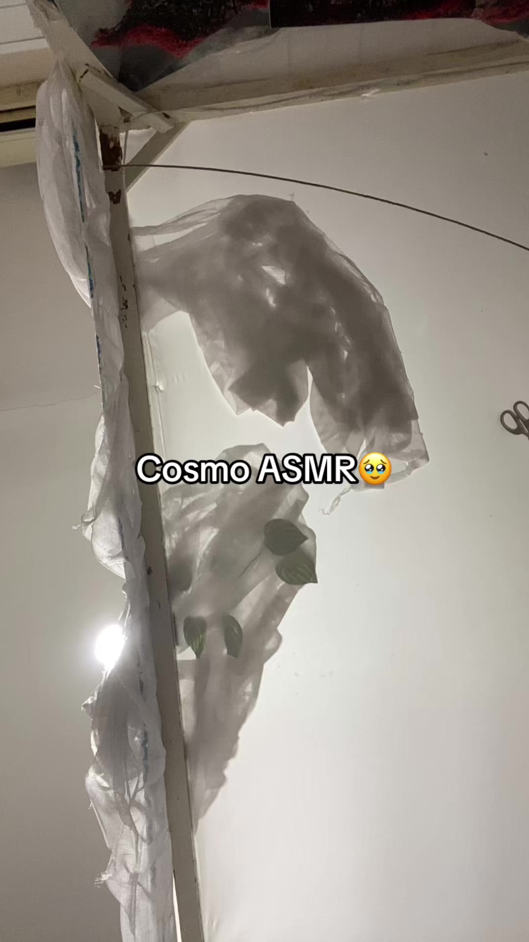 @โญ๏ธ๐ชCosmo๐ง๐ซ