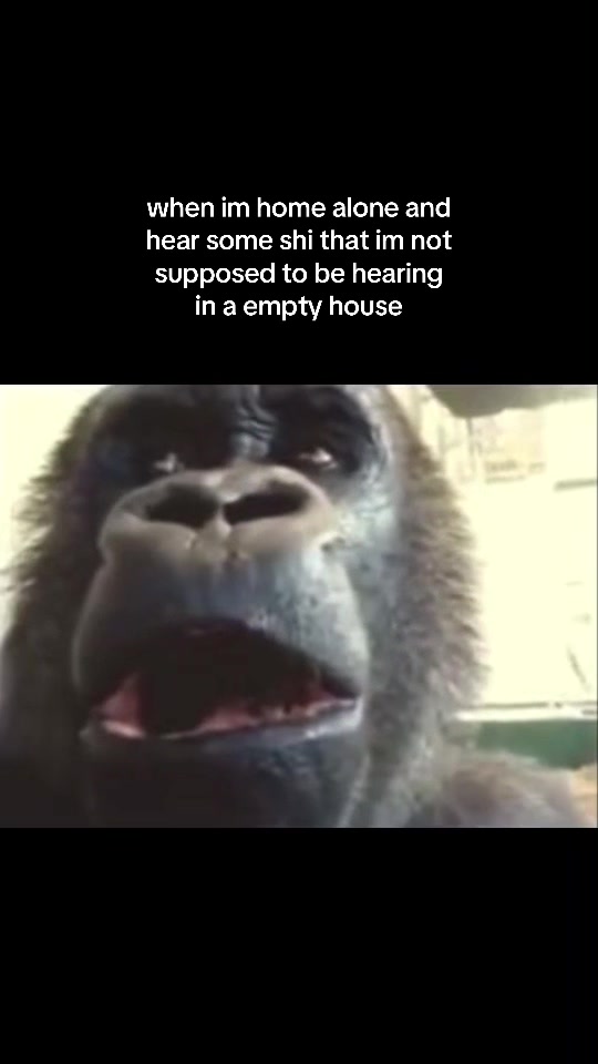 @ViralMoments