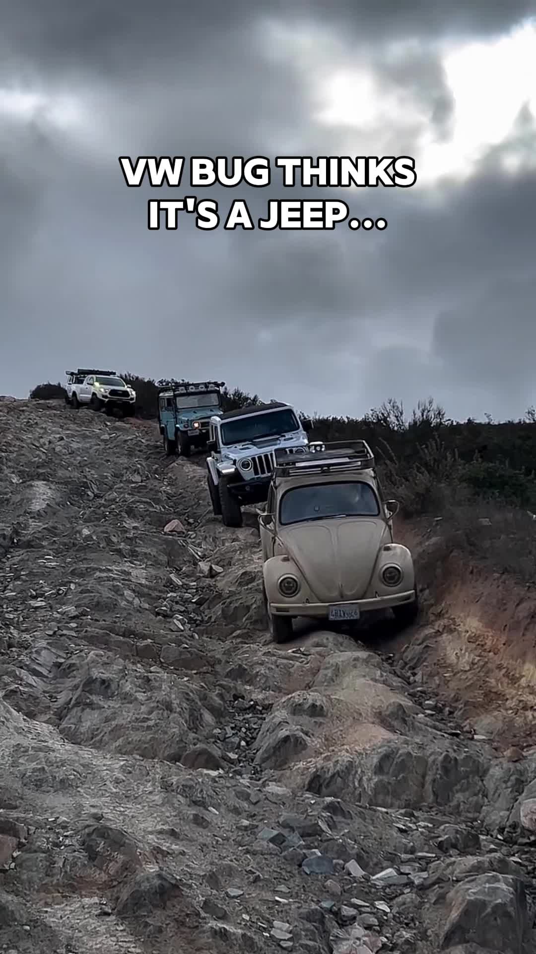 @Alaska Spring