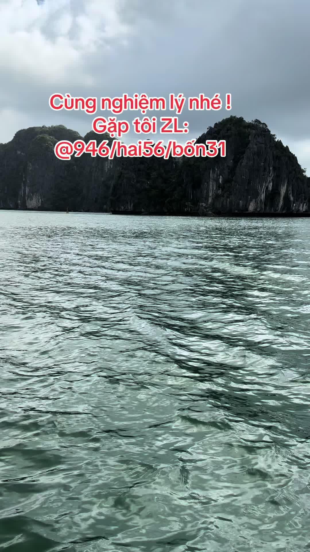 @Hoa Hướng Dương 6768