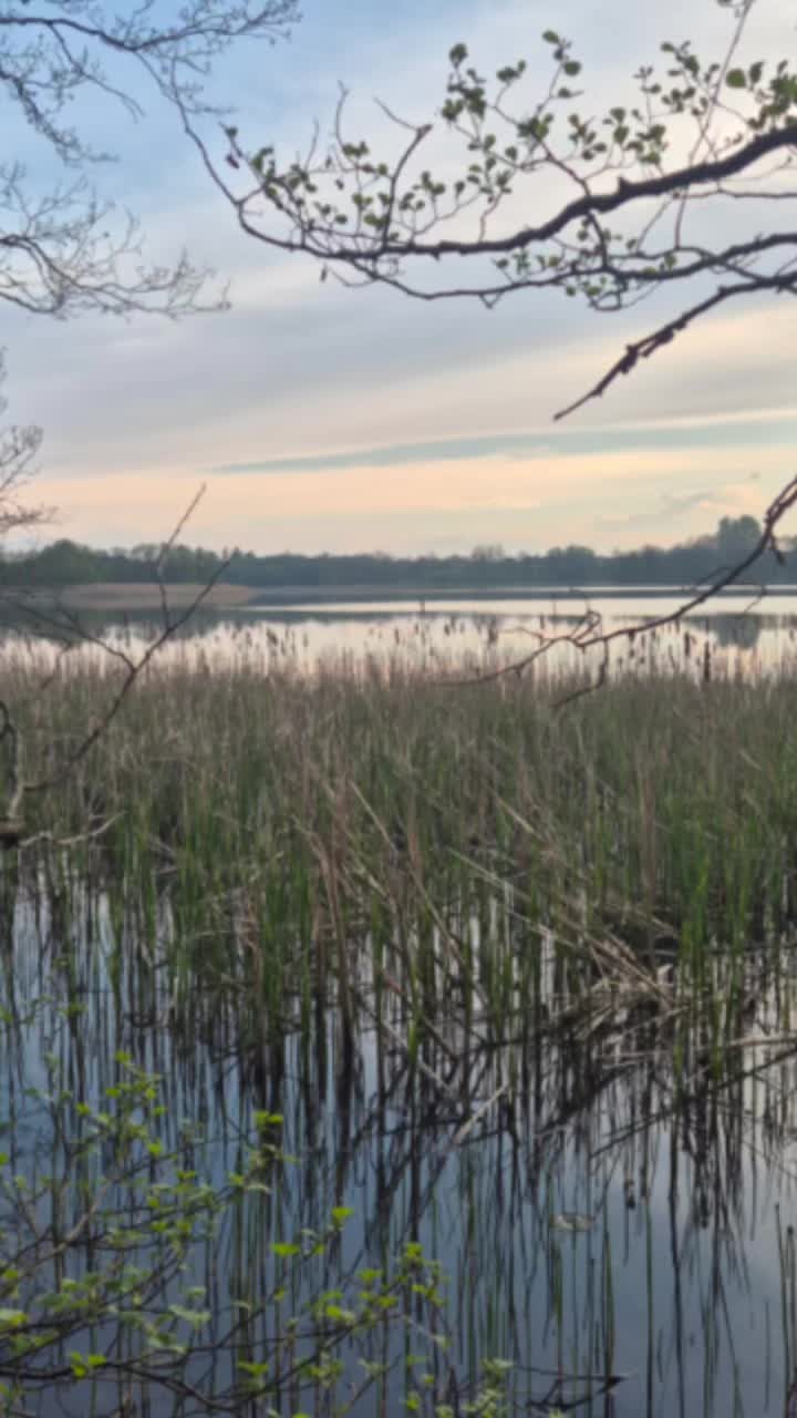 @🌺🪻aasia🌺🪻