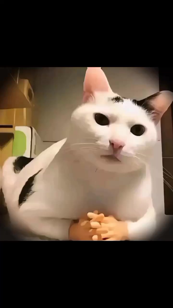 @ᯓ𝐄𝐫𝐚 𝐌𝐢𝐮ᥫ᭡