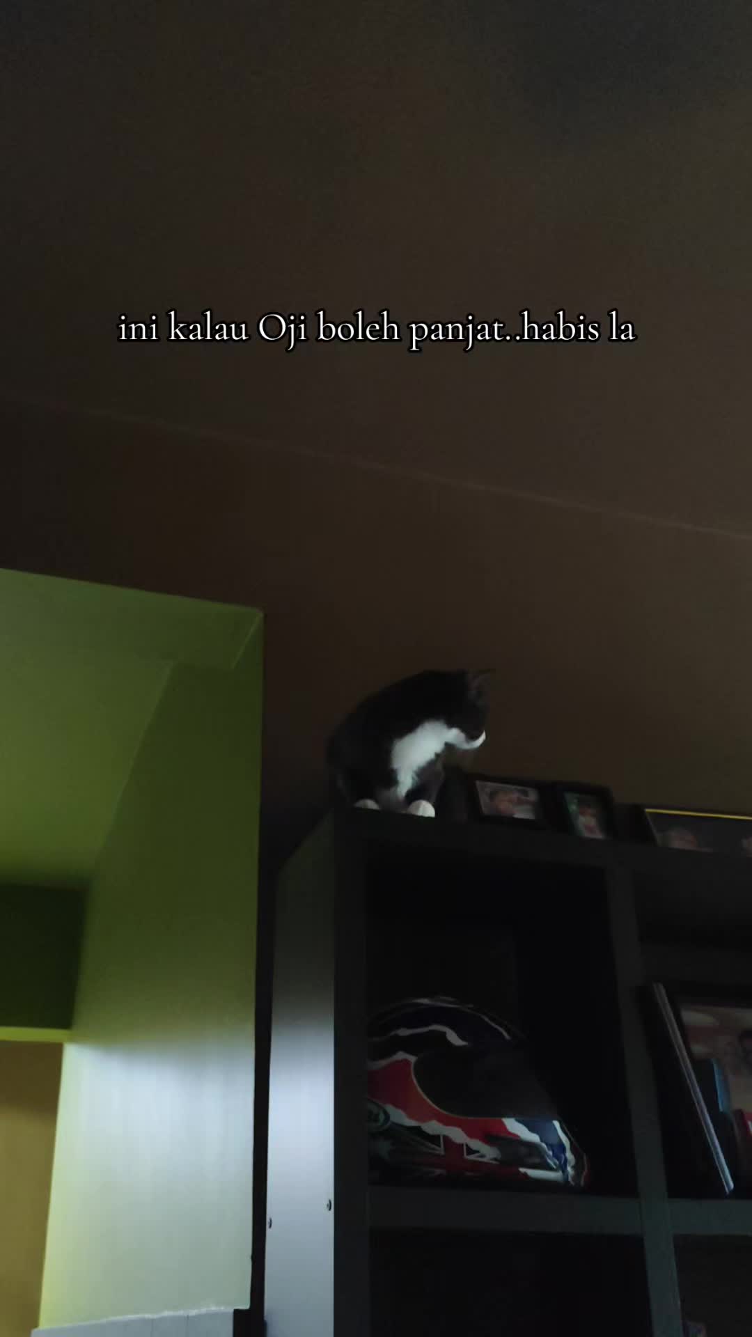 @Omma Kucing 🇲🇾🍉