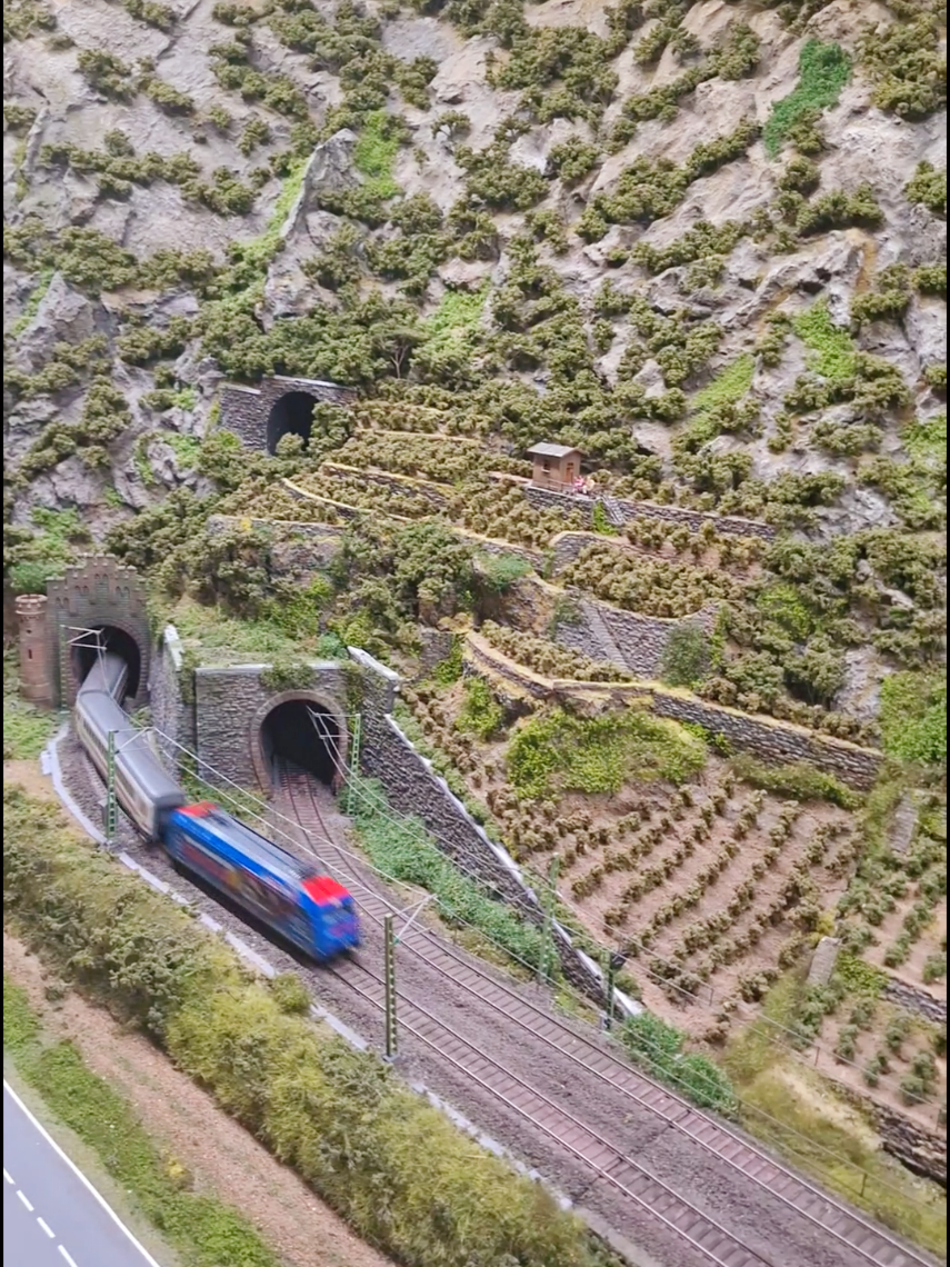 @Ludi 🚂💪