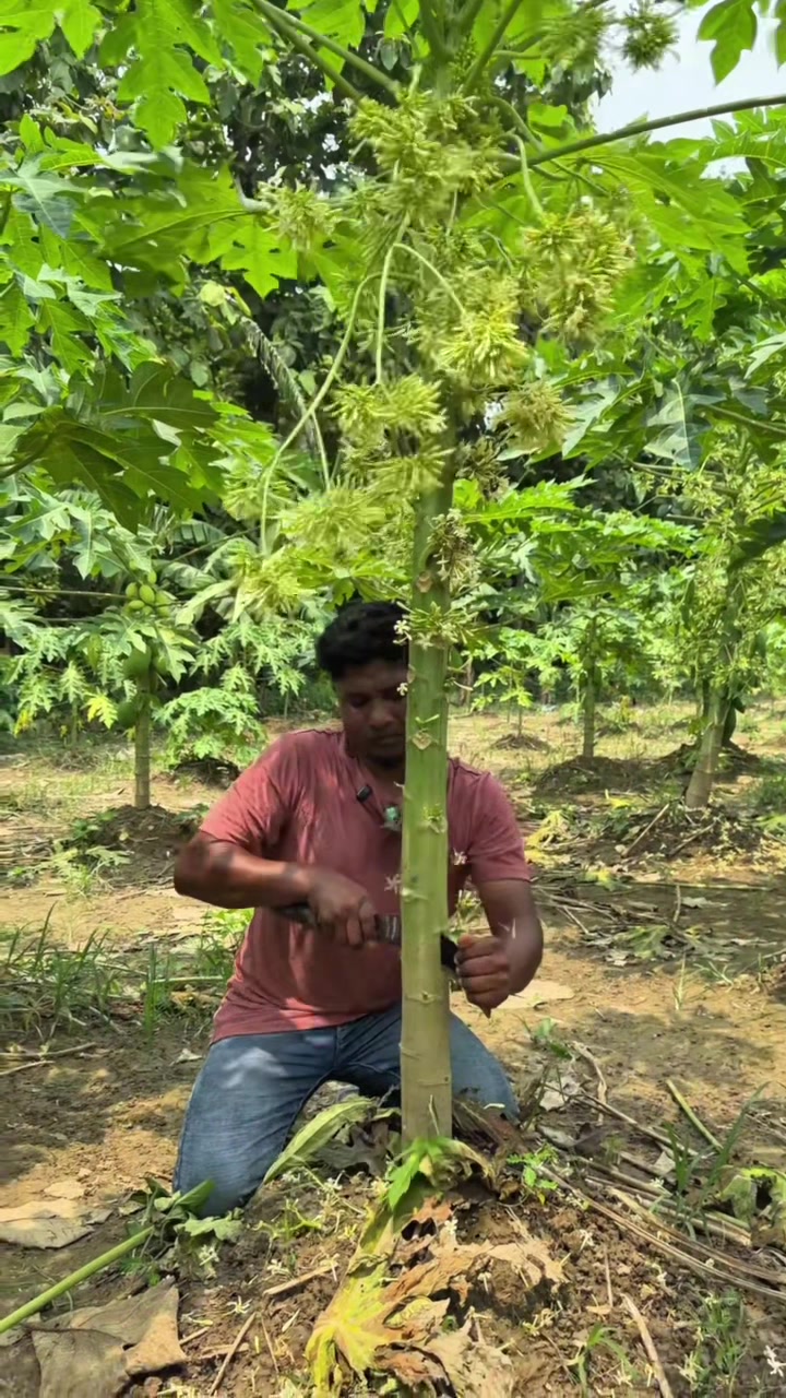 @কৃষি আপডেট
