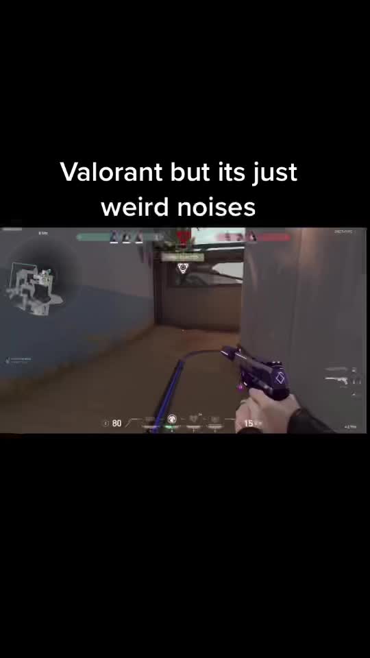 @𝖌𝖎𝖚𝖑𝖎𝖆