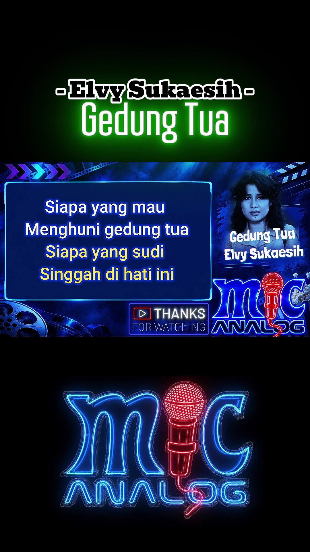 @mic analog