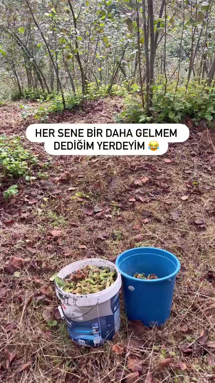 @Rabia Yıldız