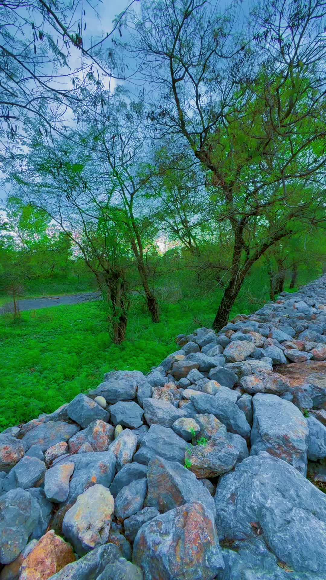 @Muskan🎀🇦🇫✌️🇵🇰