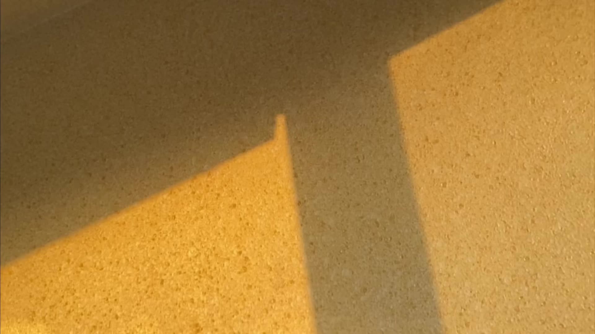 @𝙰𝙻𝙾𝙷𝙰🎧