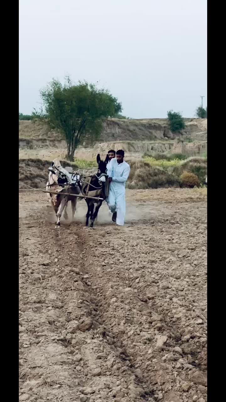 @مانی🖇🍁