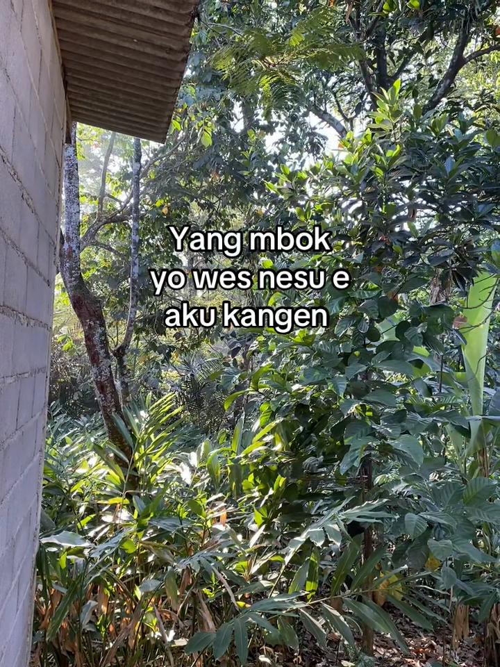 @Wahyuuu