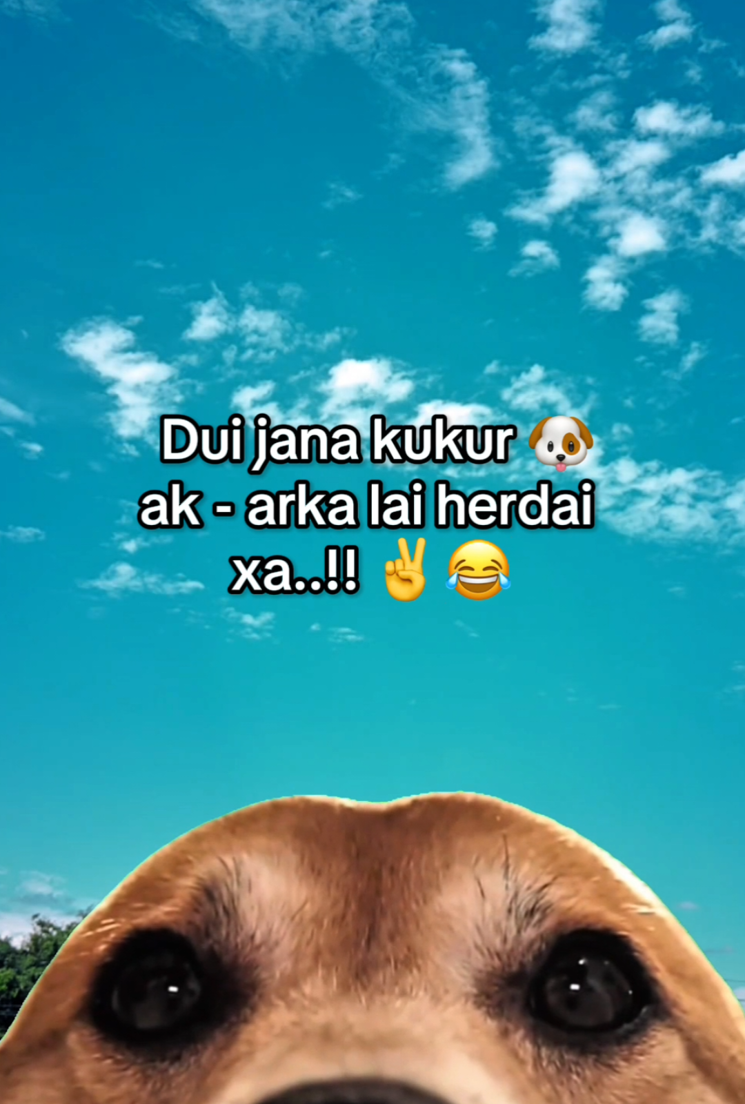 @𝖬𝗋 𝖯ɪɴᴛᴜ♡