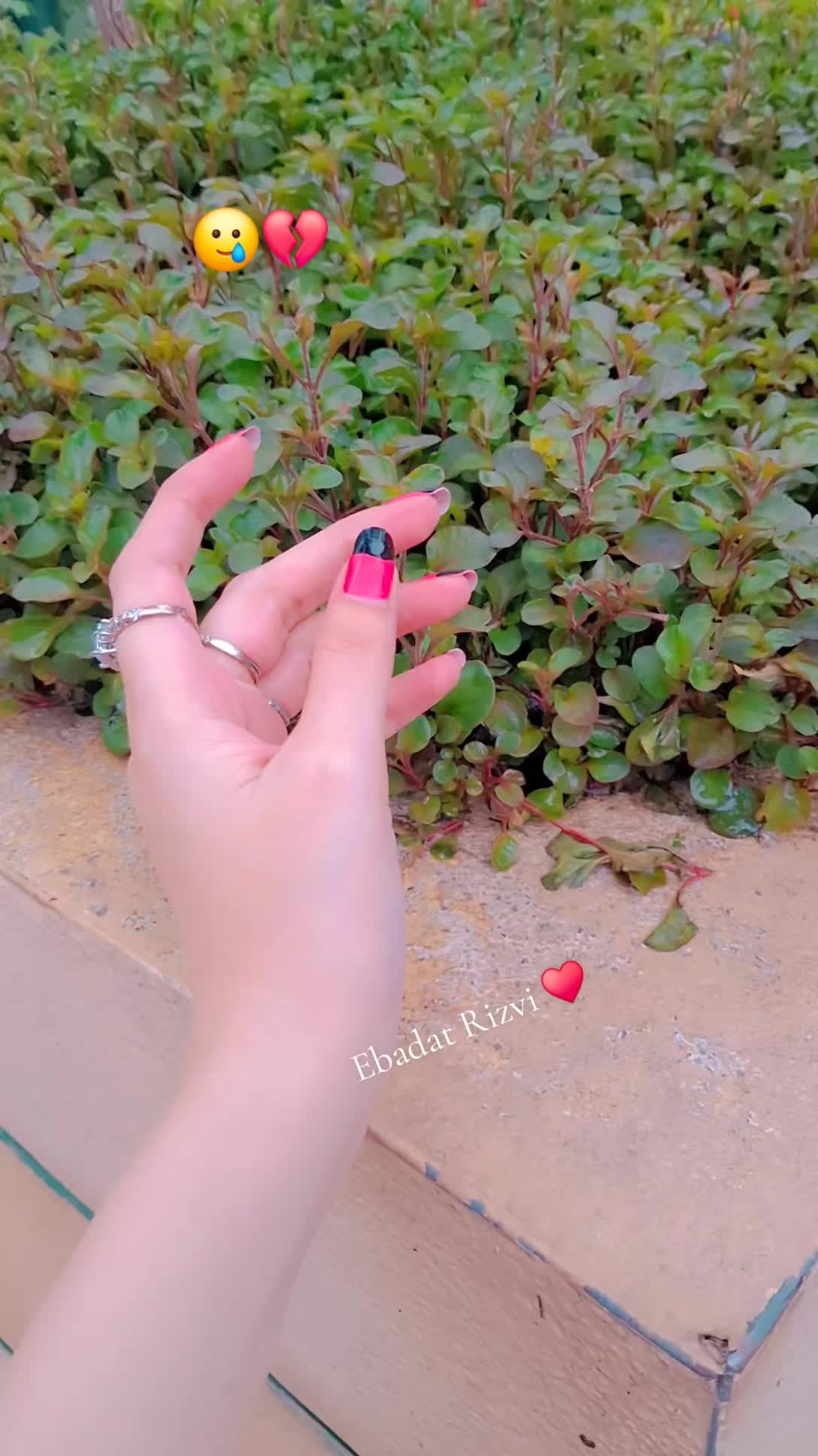 @Ebadat Rizvi