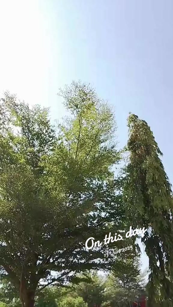 @پنجابی کُڑی