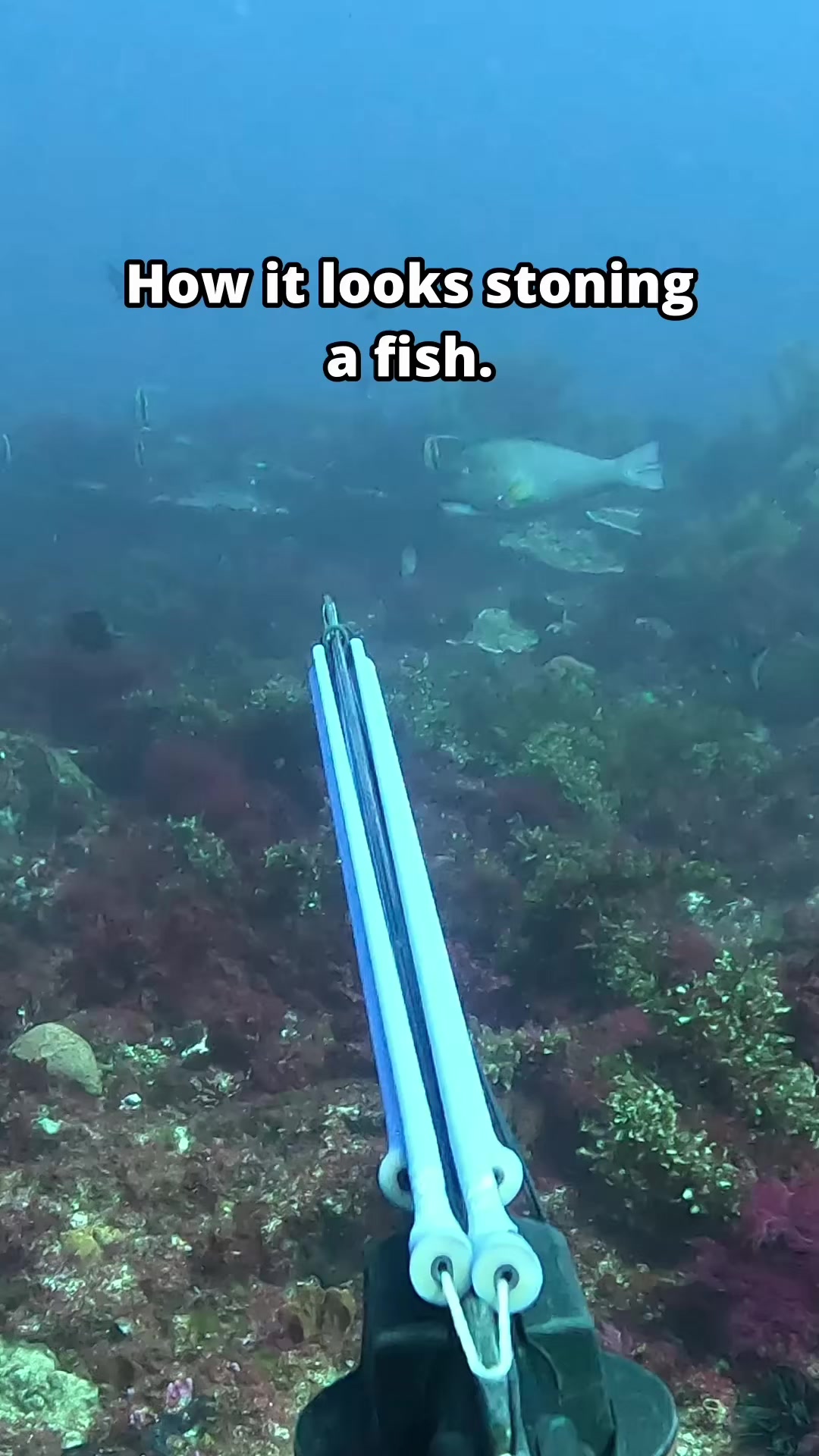 @straighthookers
